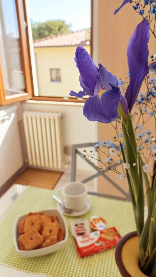Apartmán Casa Lilly Porto SantʼElpidio Exteriér fotografie